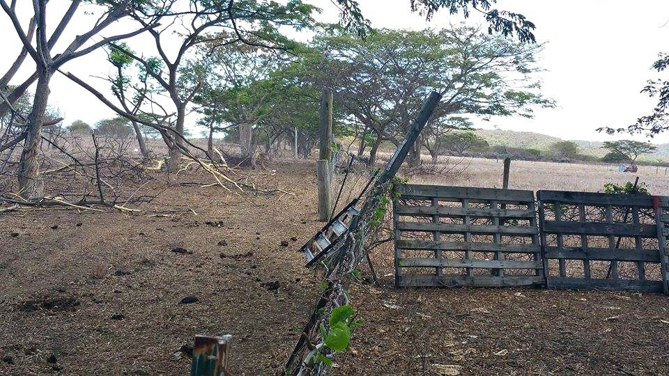 Drought Relief On The Way; But Farmers Losing Patience