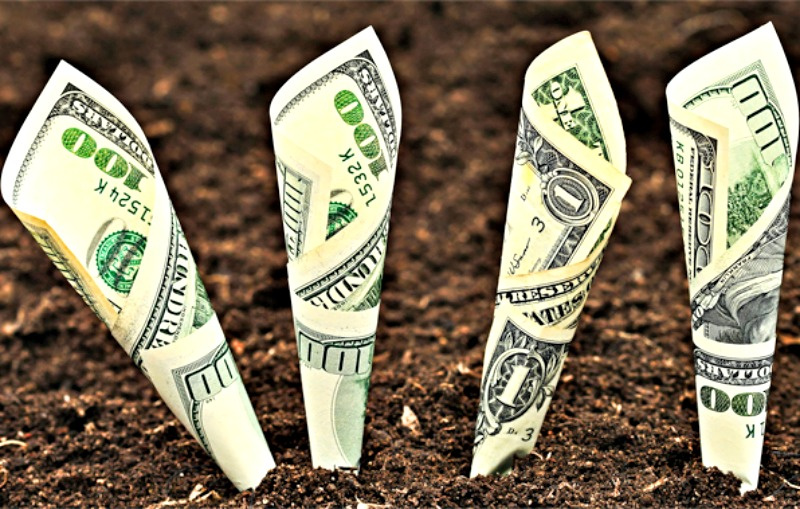 EDA Hosts Informational Session On Economic Development Initiatives For V.I. legislators