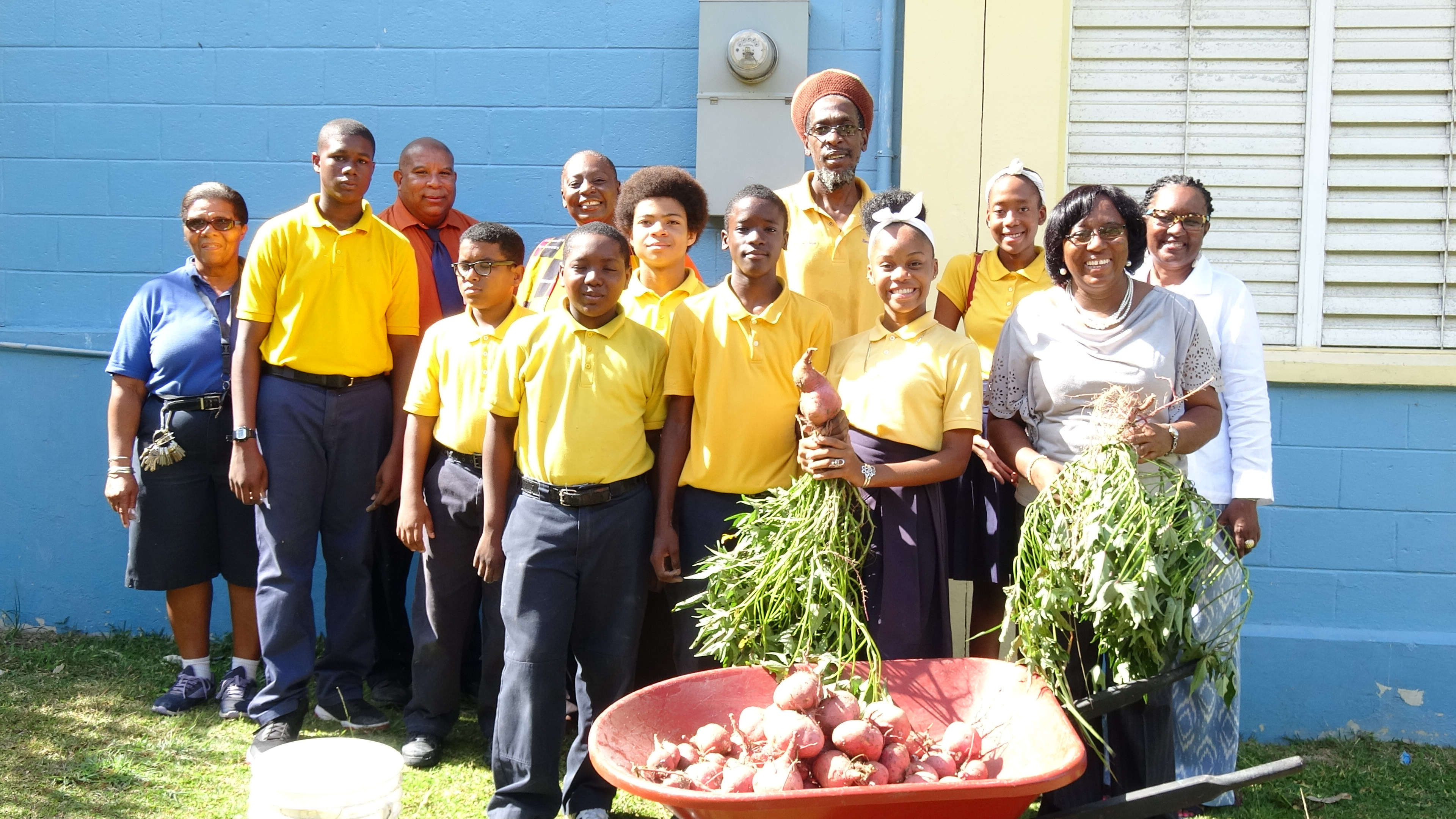 Elena Christian Jr. High School Reaps Abundant Sweet Potato Harvest