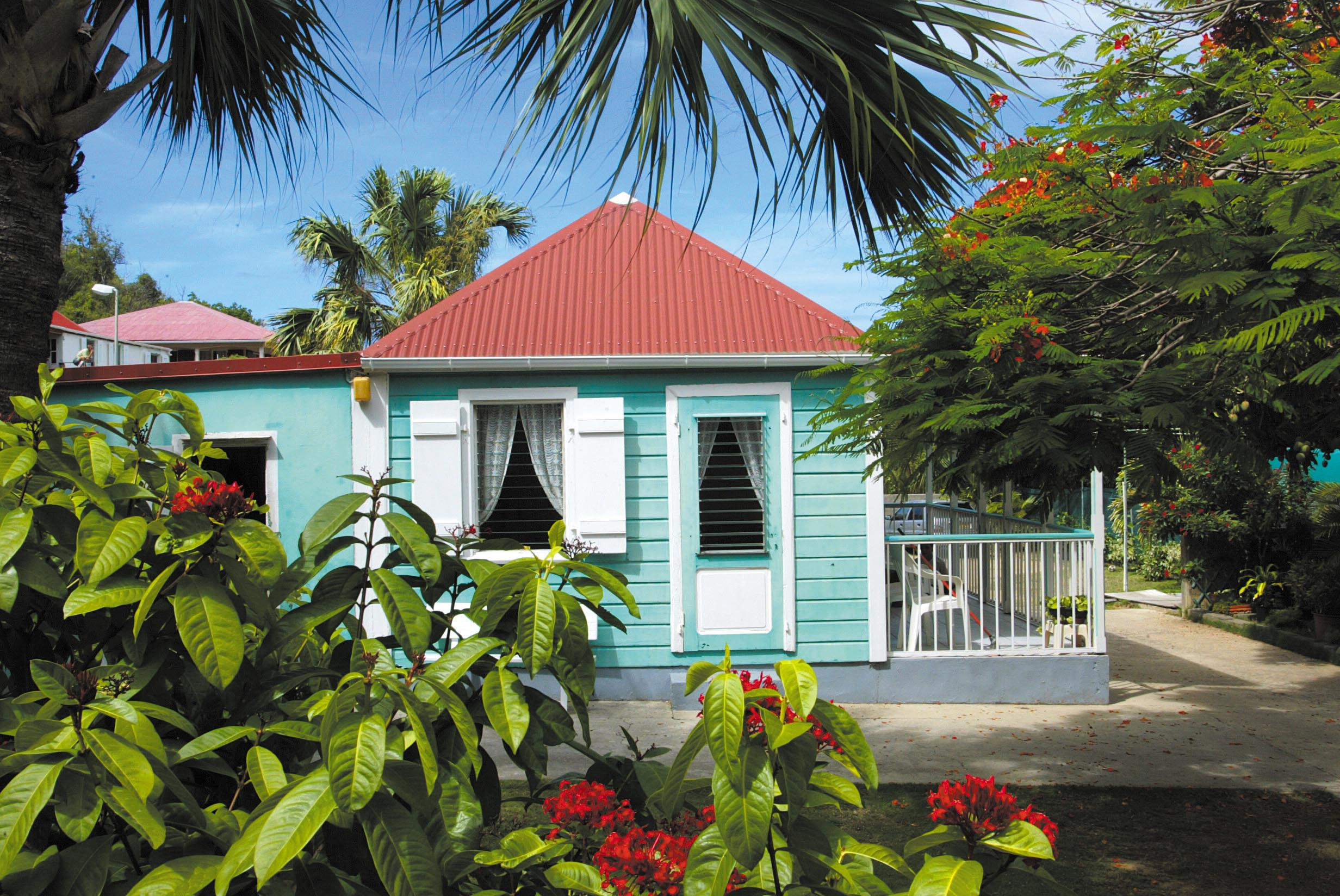 Here's What You Need To Know About The Upcoming Property Auctions, According To Potter And Tax Collector