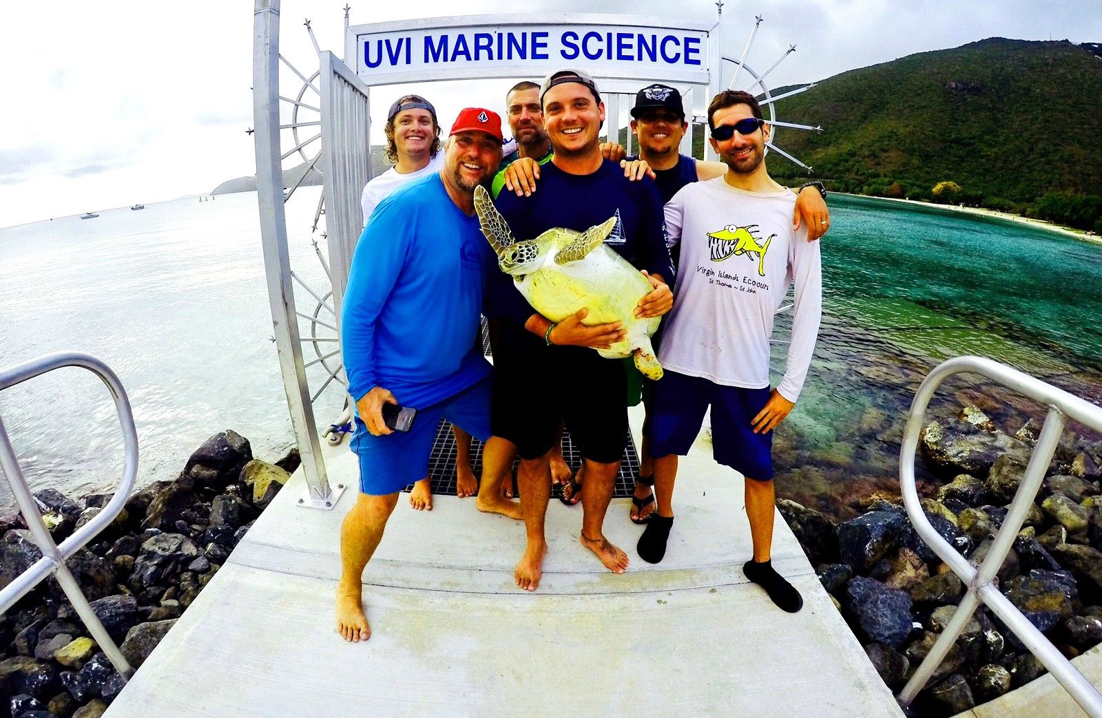 UVI And VI Sea Turtle Project Document Their 100th Turtle