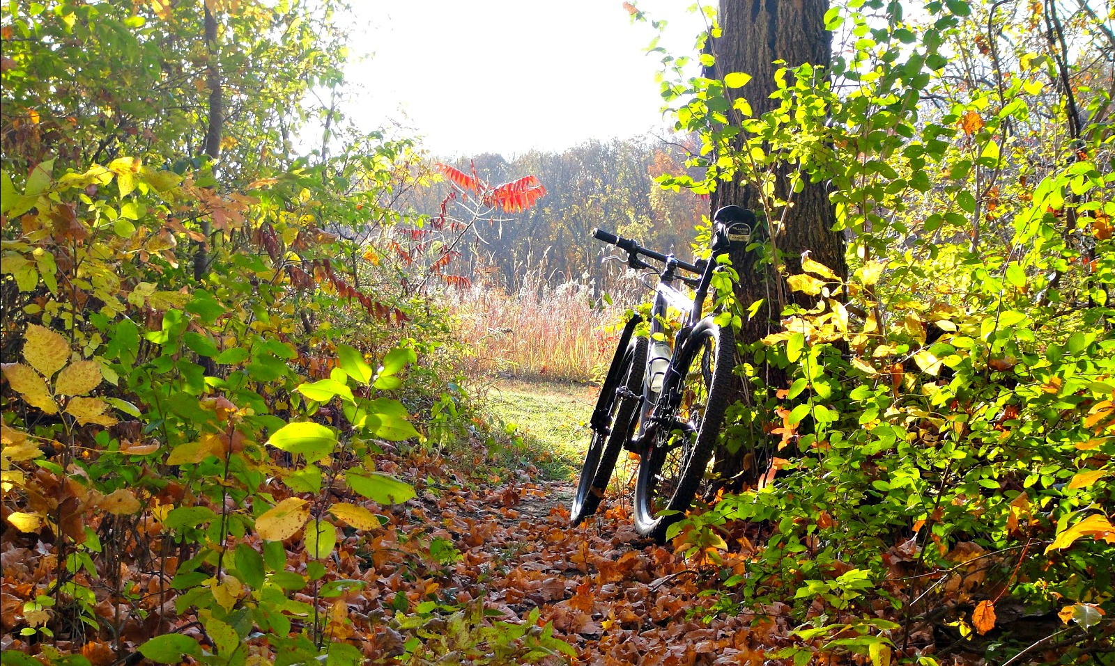 Letter To The Editor: Governor Mapp, Complete The St. Croix Bike Path