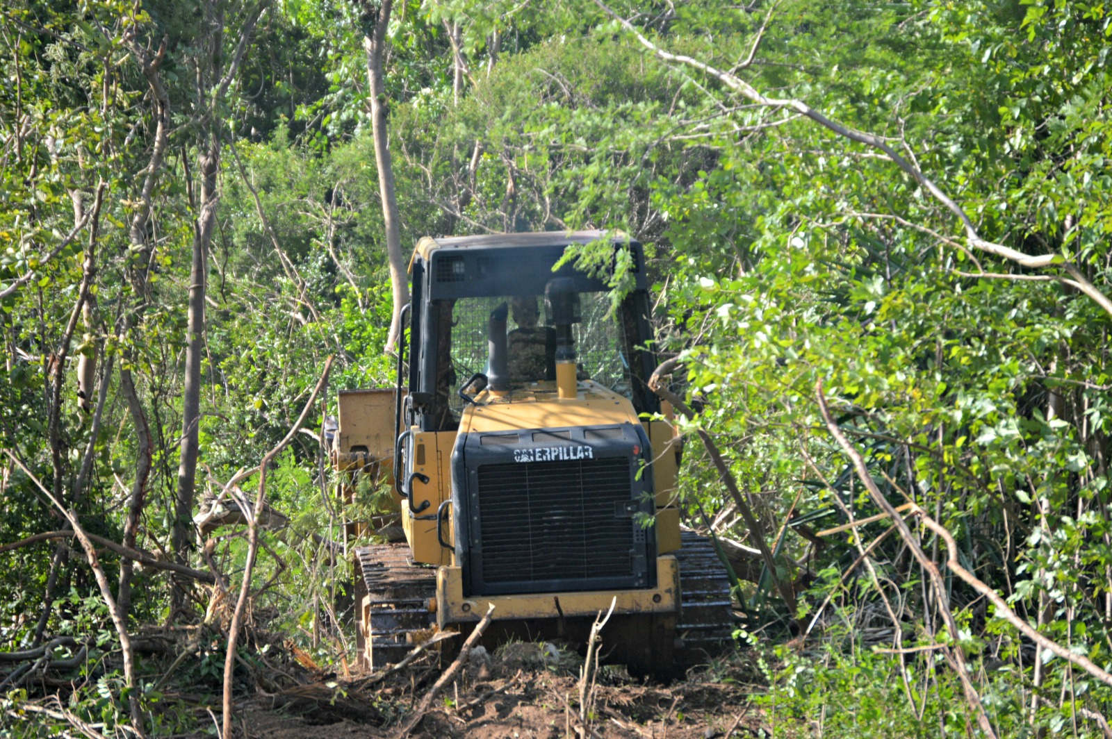 Suspects Steal Public Works Backhoe To Create Paintball Field At Harvey Project