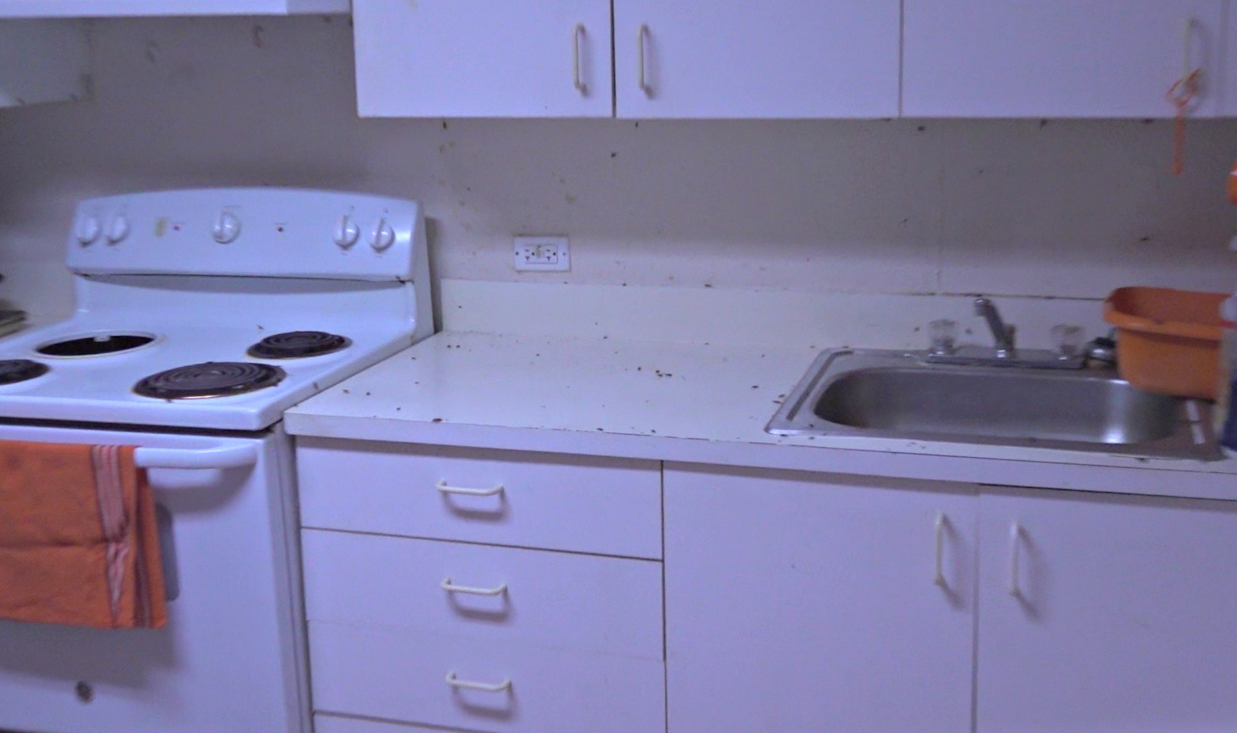 Single Mother And Children Forced To Live In Roach-Infested Croixville Apartment For Over A Year By VI Housing Authority