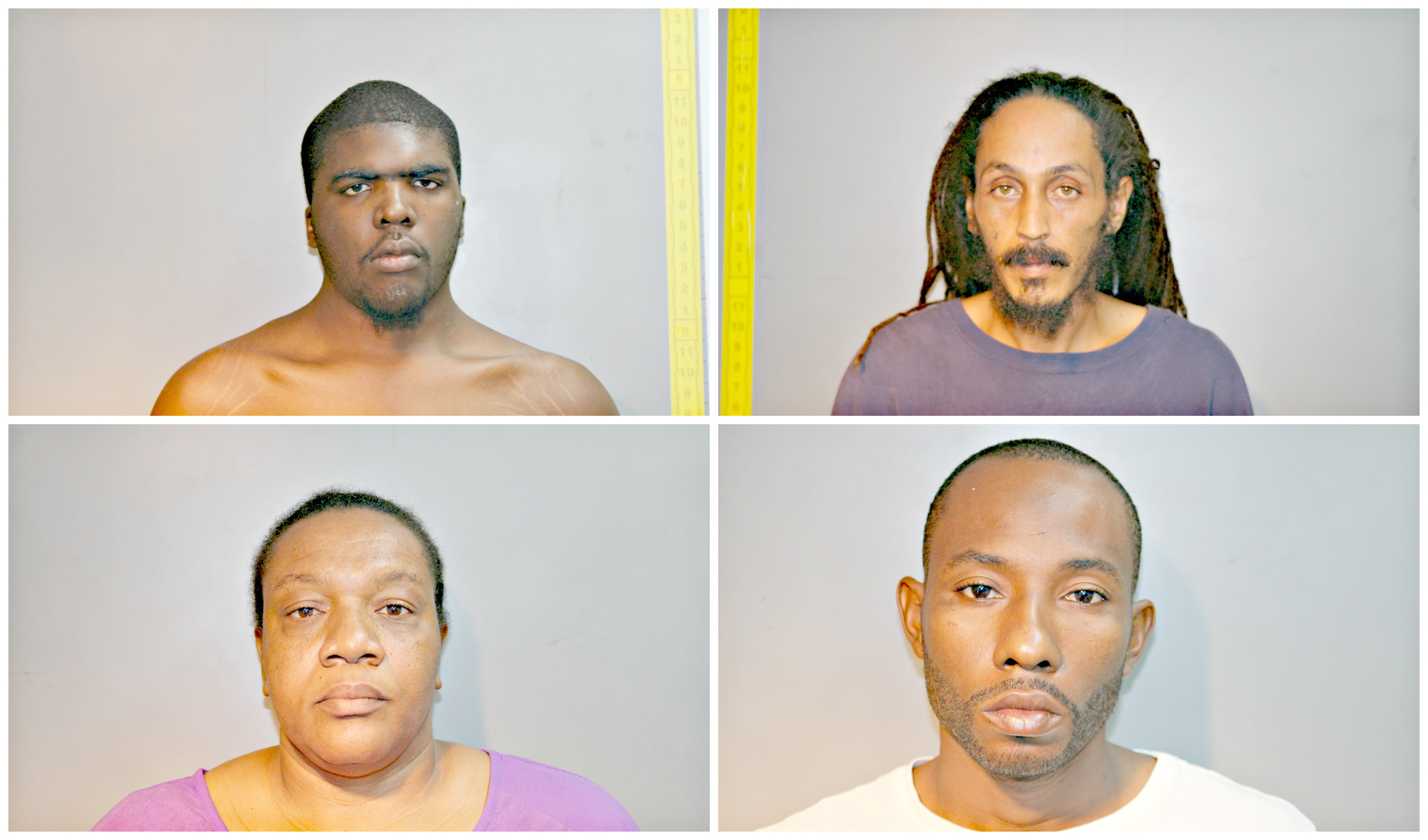 USVI Arrests: Mayhem, Unauthorized Possession Of Firearm, Assault And Destruction Of Property