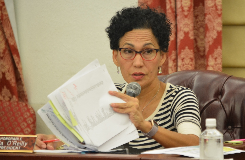 VI Carnival Committee Has Gone 'Rogue,' Senator Rivera-O'Reilly Says