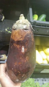 Rotten eggplant found on Cost-U-Less' produce shelf