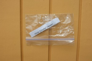 Hansen ballot stickers