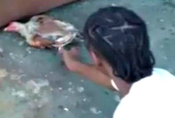 VIPD Asking For Help In Identifying Man Who Set Chicken On Fire