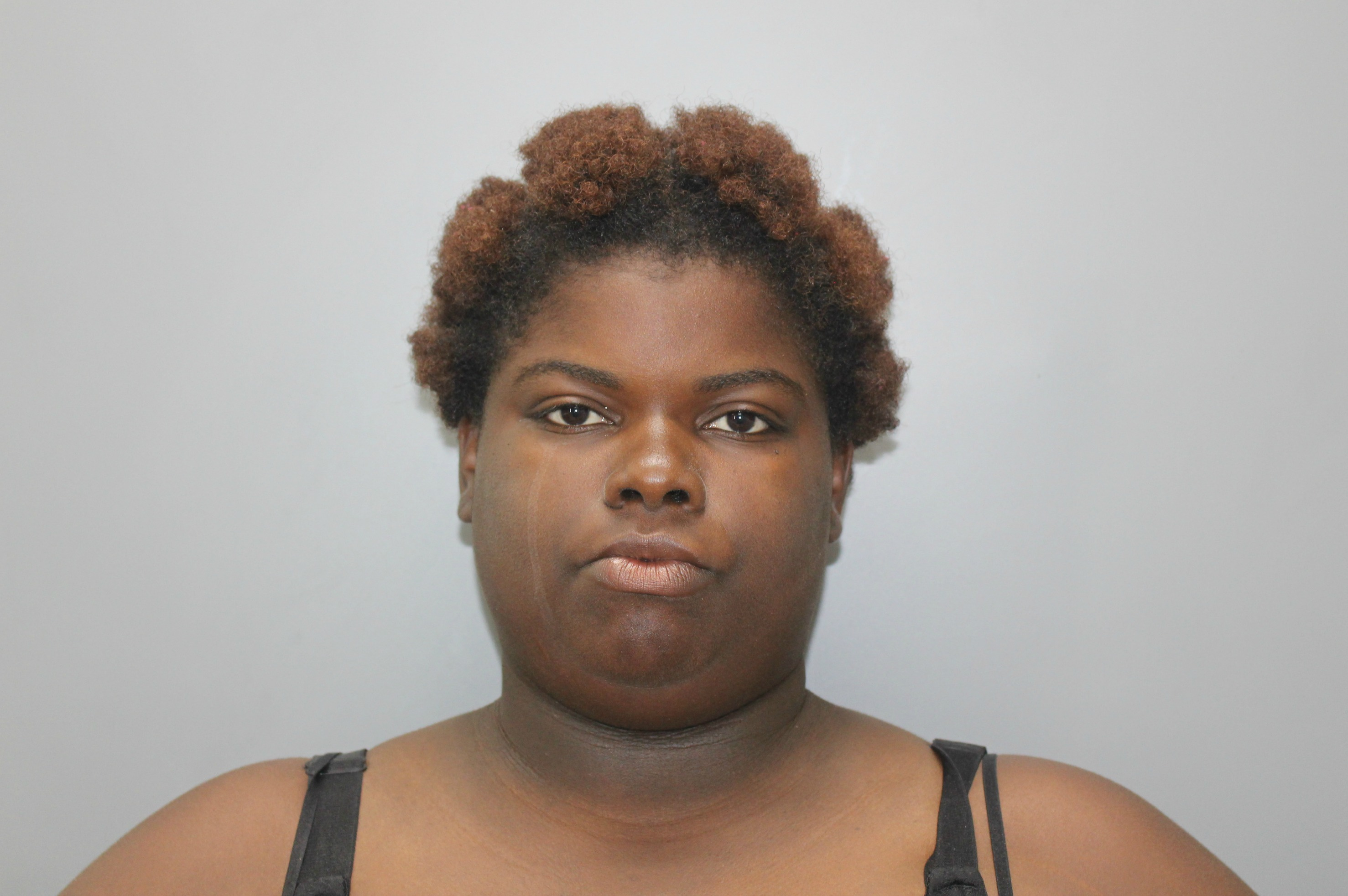 Woman Stabbed In Fight Outside Ulla F. Muller Elementary School; Suspect Arrested