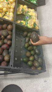 VI Consortium reporter holding up a rotten avocado moments before employee hauled them away with a cart