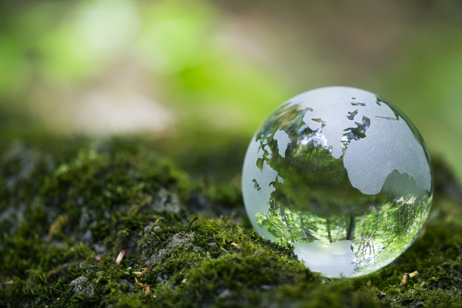Judith A. Towle Environmental Studies Fund At CFVI Accepting Applications For 2018 Funding