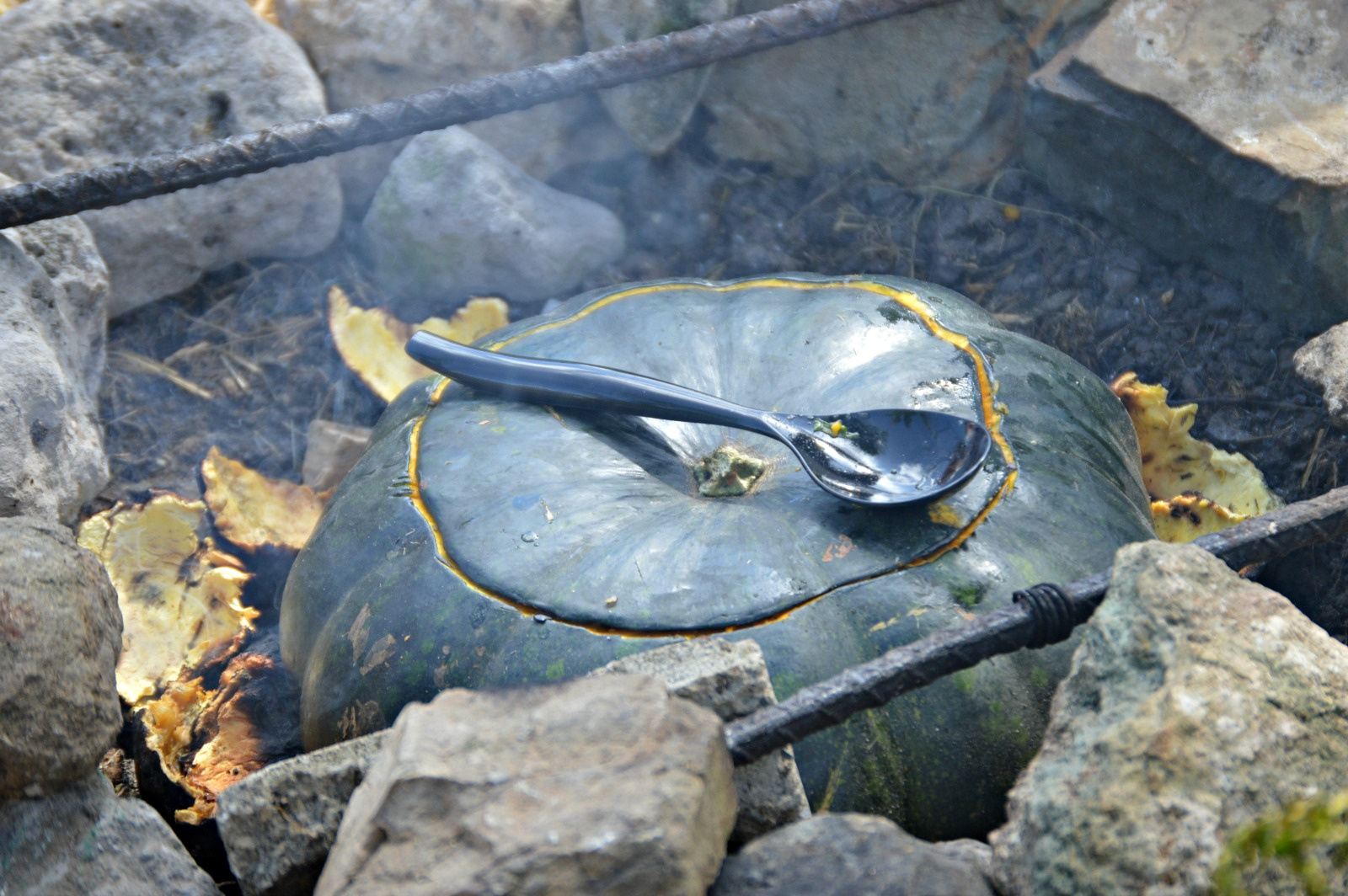 Bush Cook, Chef Cook: An Unforgetable Treat At Sejah Farm