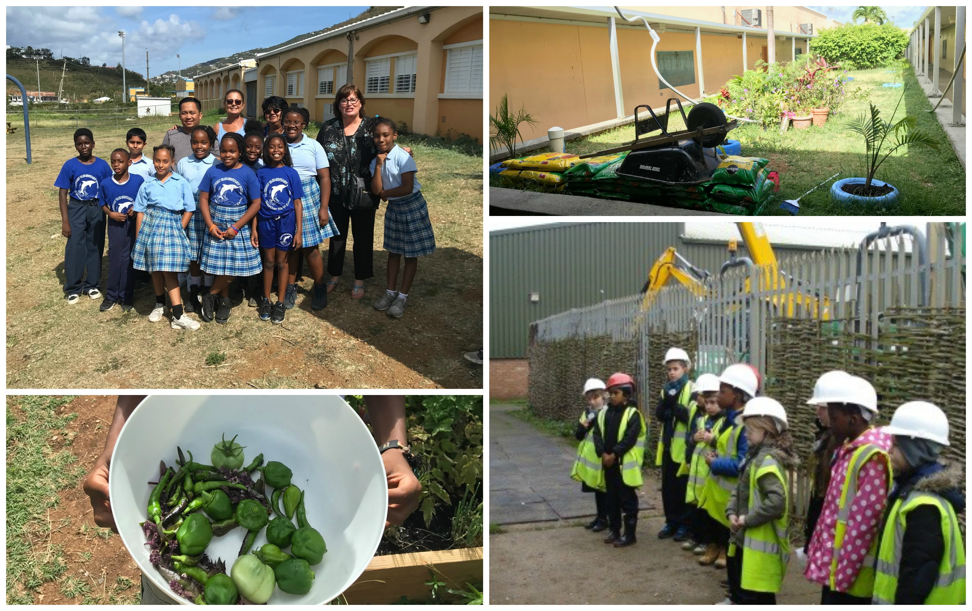 Virgin Islands Conservation Society Launches Eco Schools In USVI