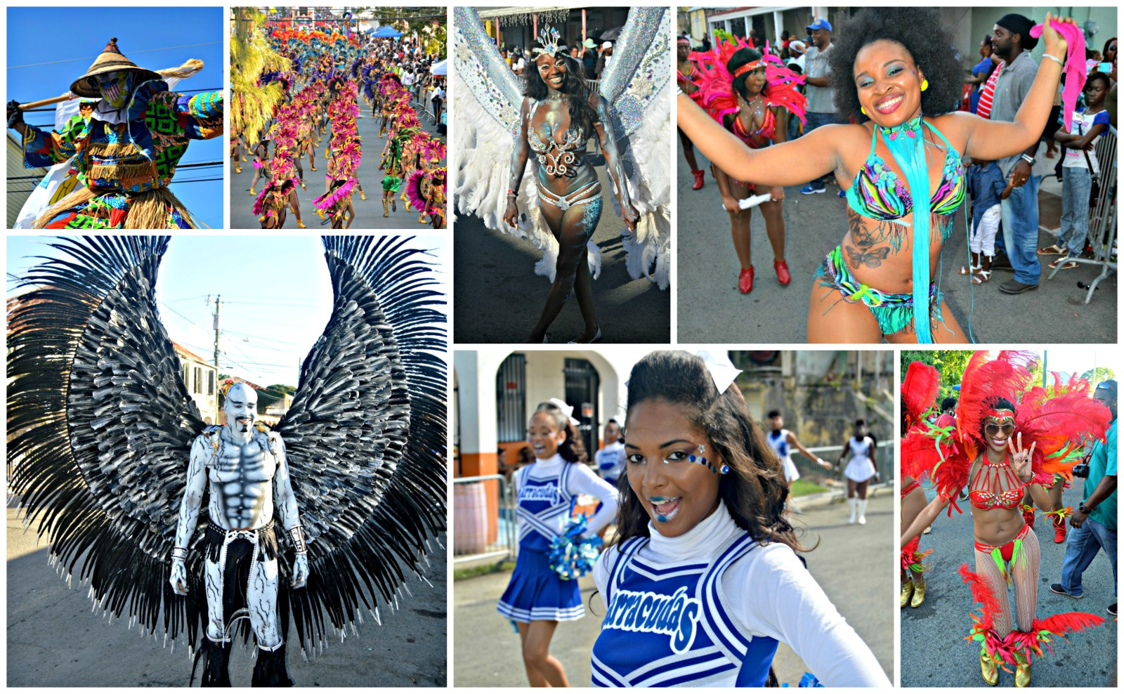 Here Are The St. Croix 2015-16 Carnival Parade Results
