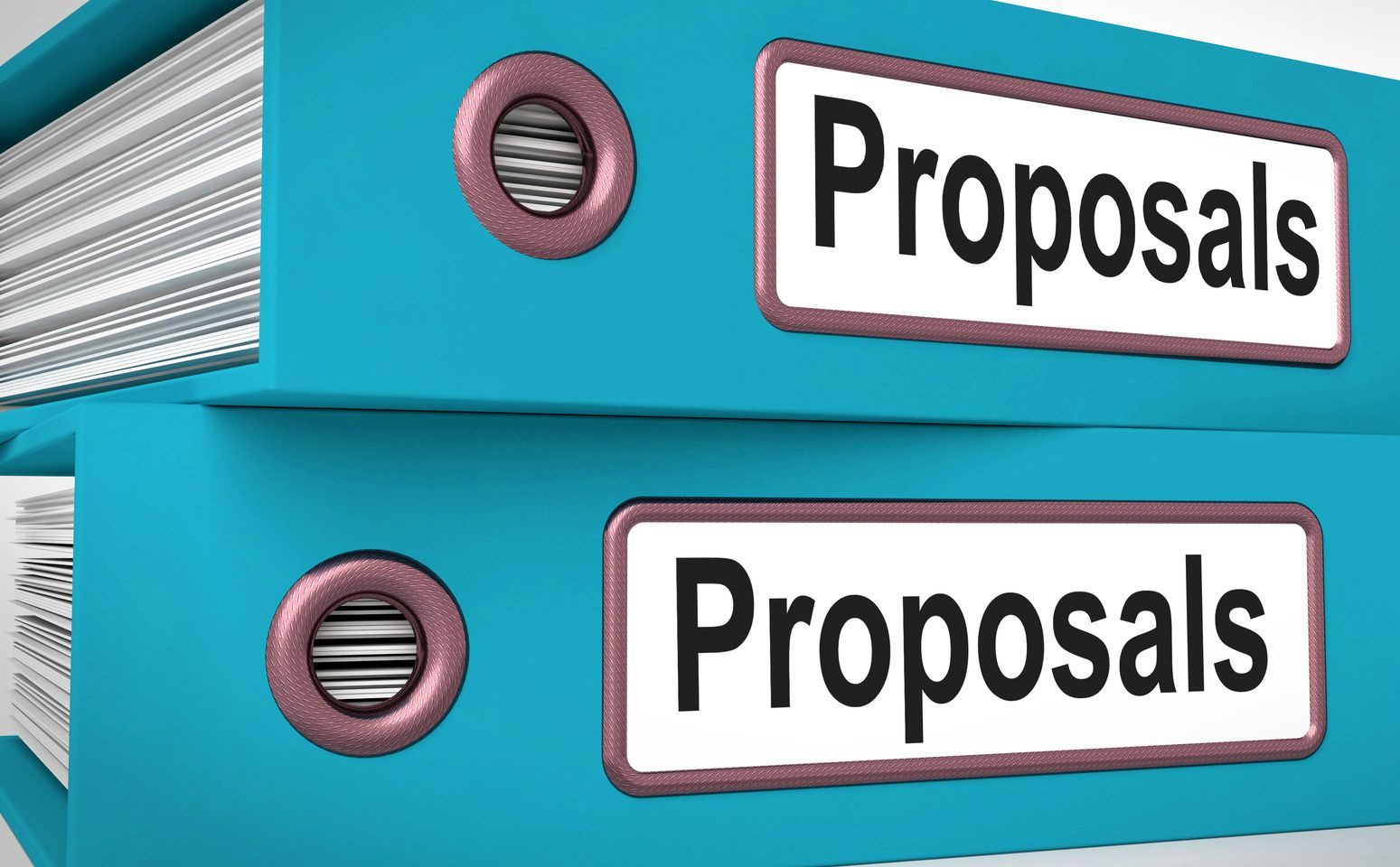 Request For Proposal: 2013 Stop Violence Against Women Formula Grant