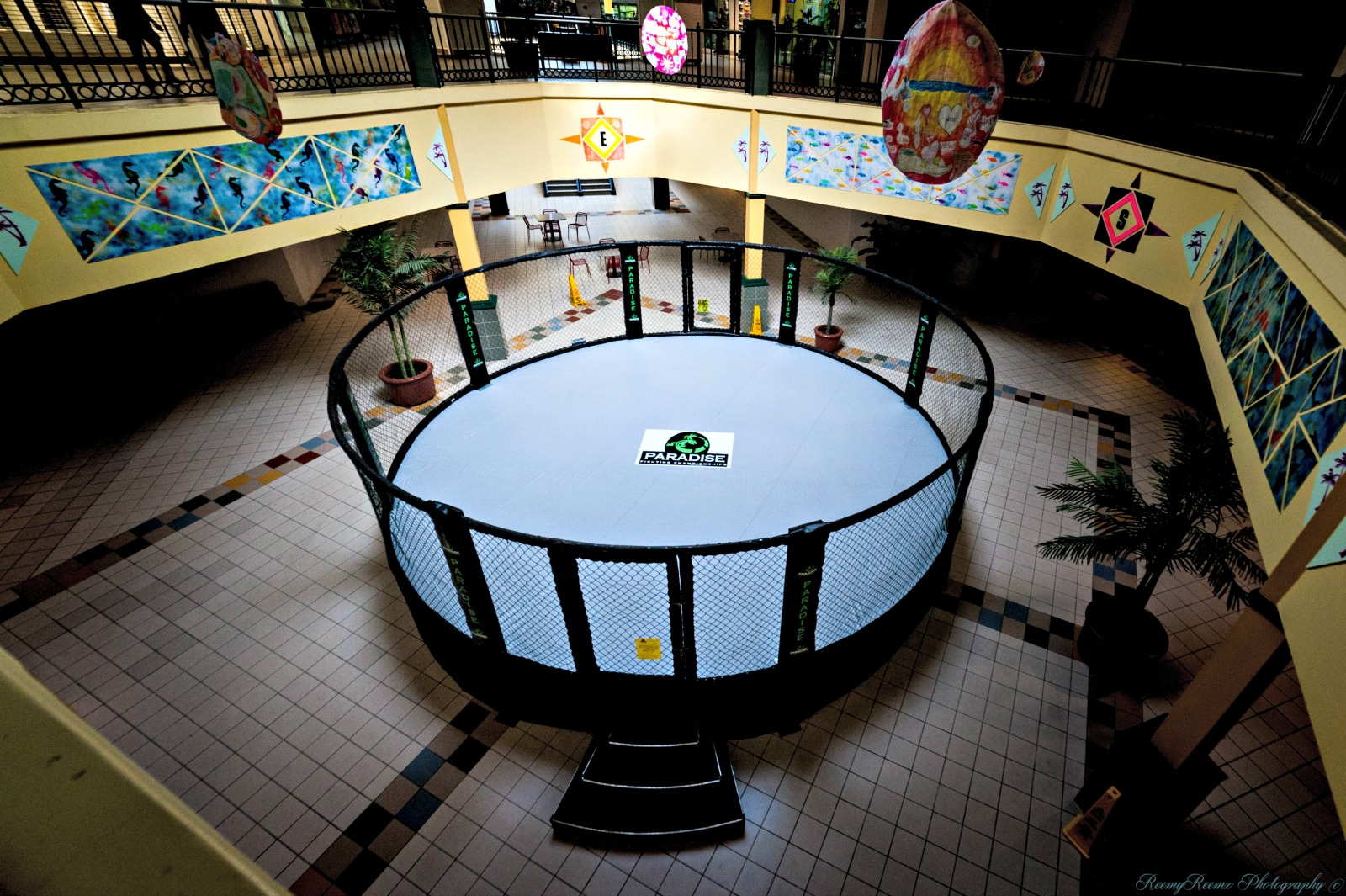 First Ever MMA Competition On St. Croix Takes Place Saturday At The Sunshine Mall