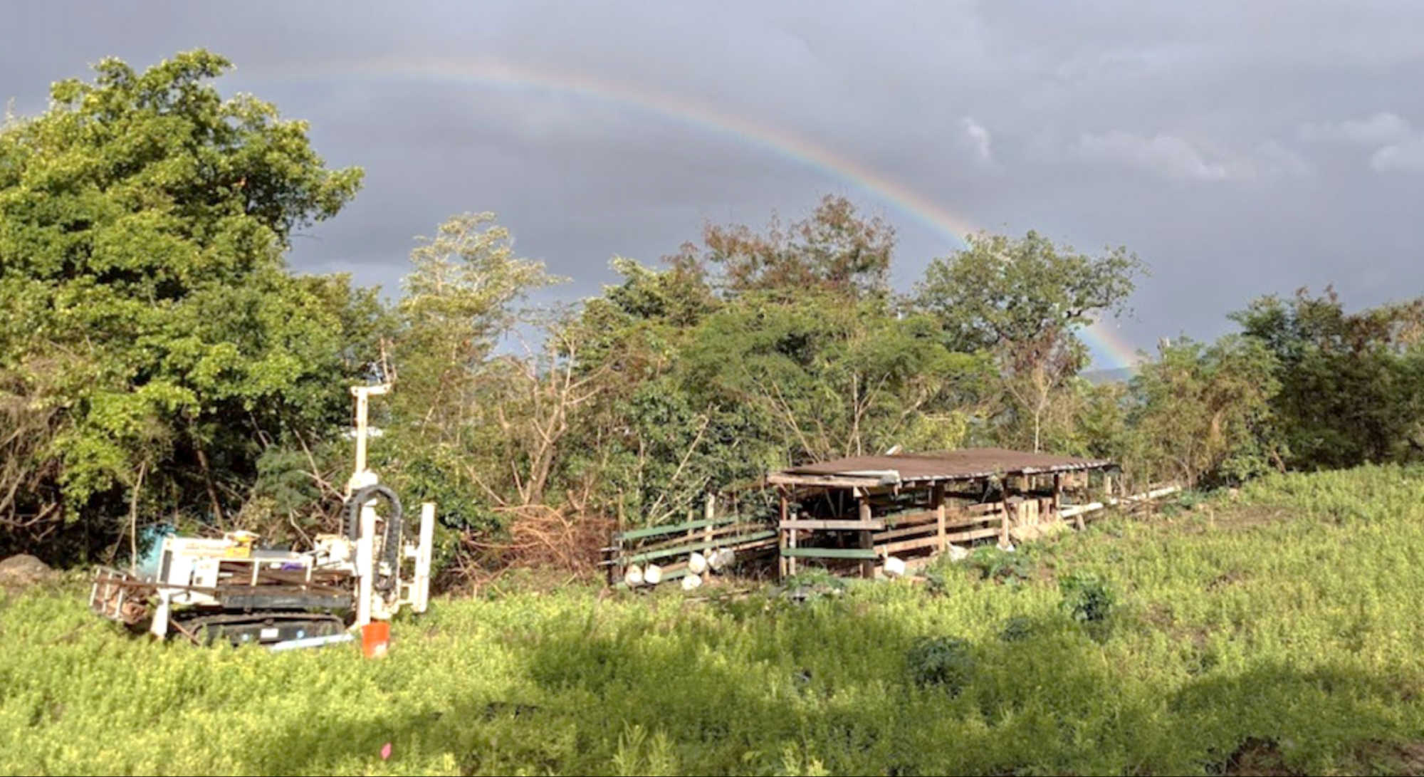 Environmental sampling equipment sits amid overgrown grounds at Caneel Bay on St. John, where federal investigators identified hazardous contamination as part of the resort property’s ongoing cleanup effort.