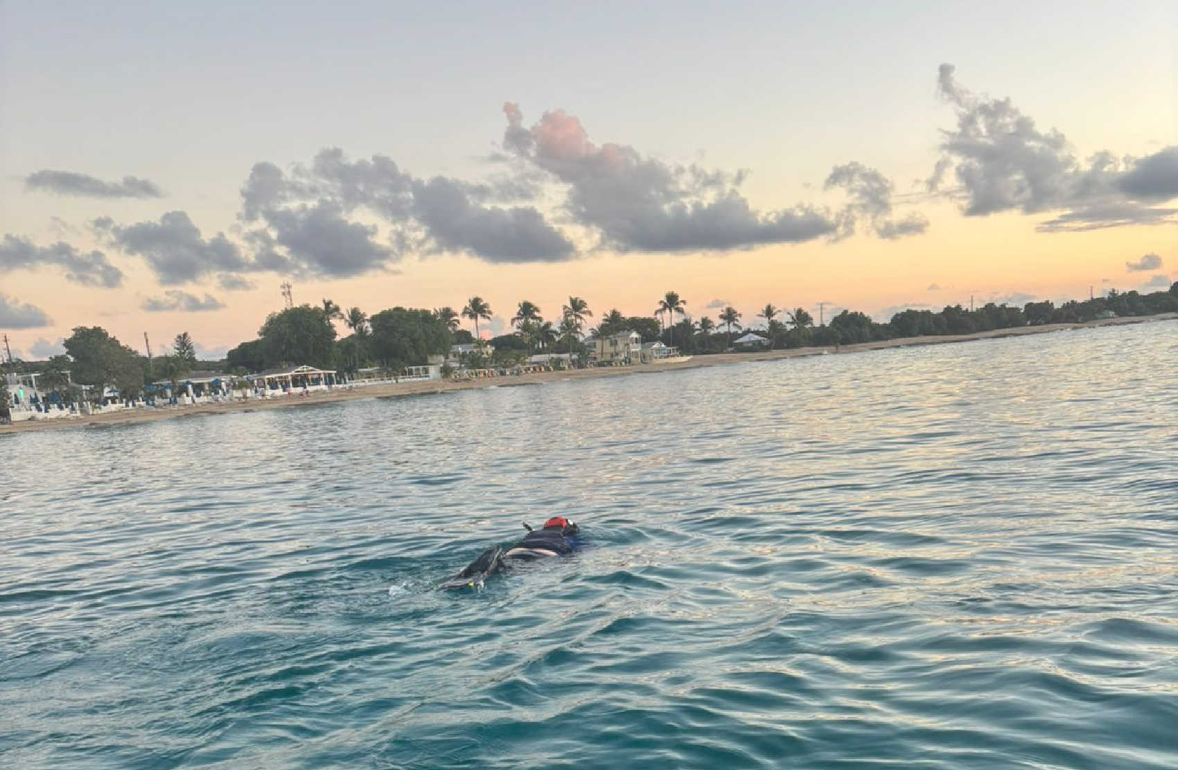 Bryan and Roach Issue Statement Following Fatal Shark Attack at Dorsch Beach