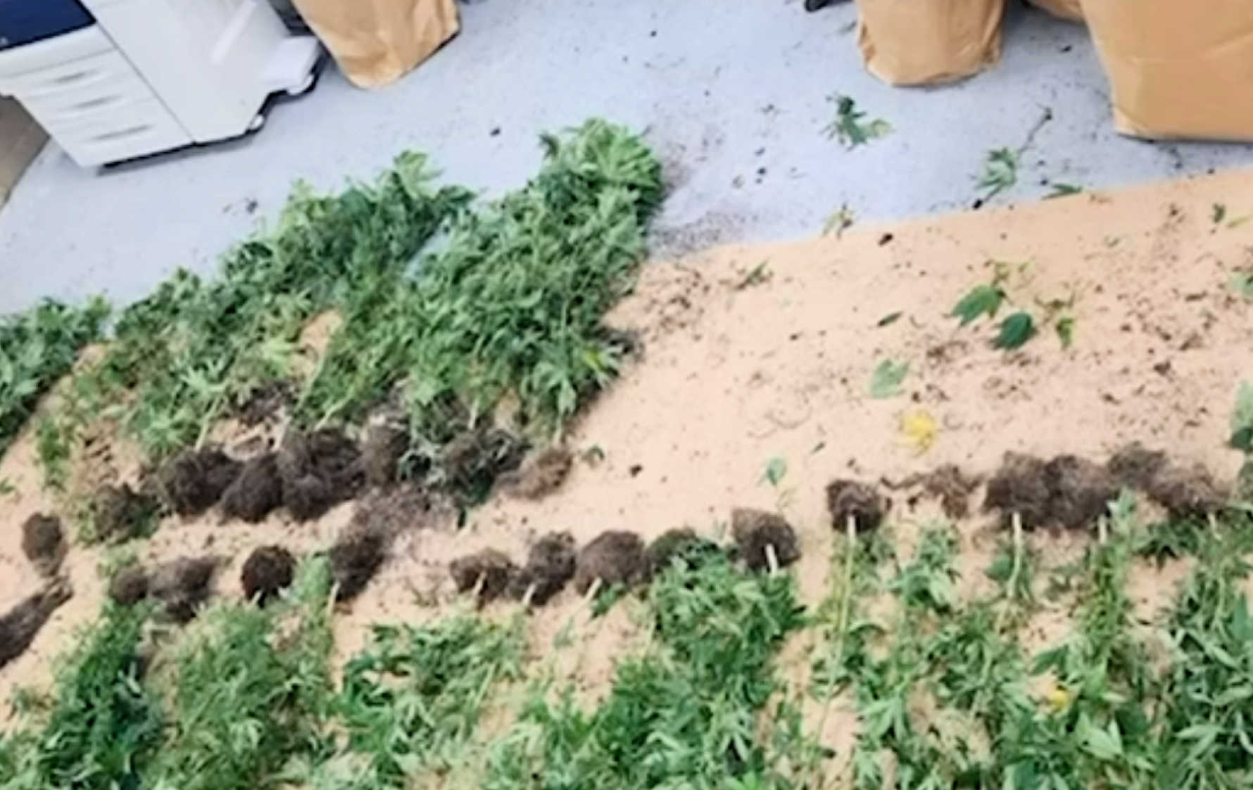 Watch: VIPD Confiscates Weapons, Drugs, Arrests Attempted Murder Suspects