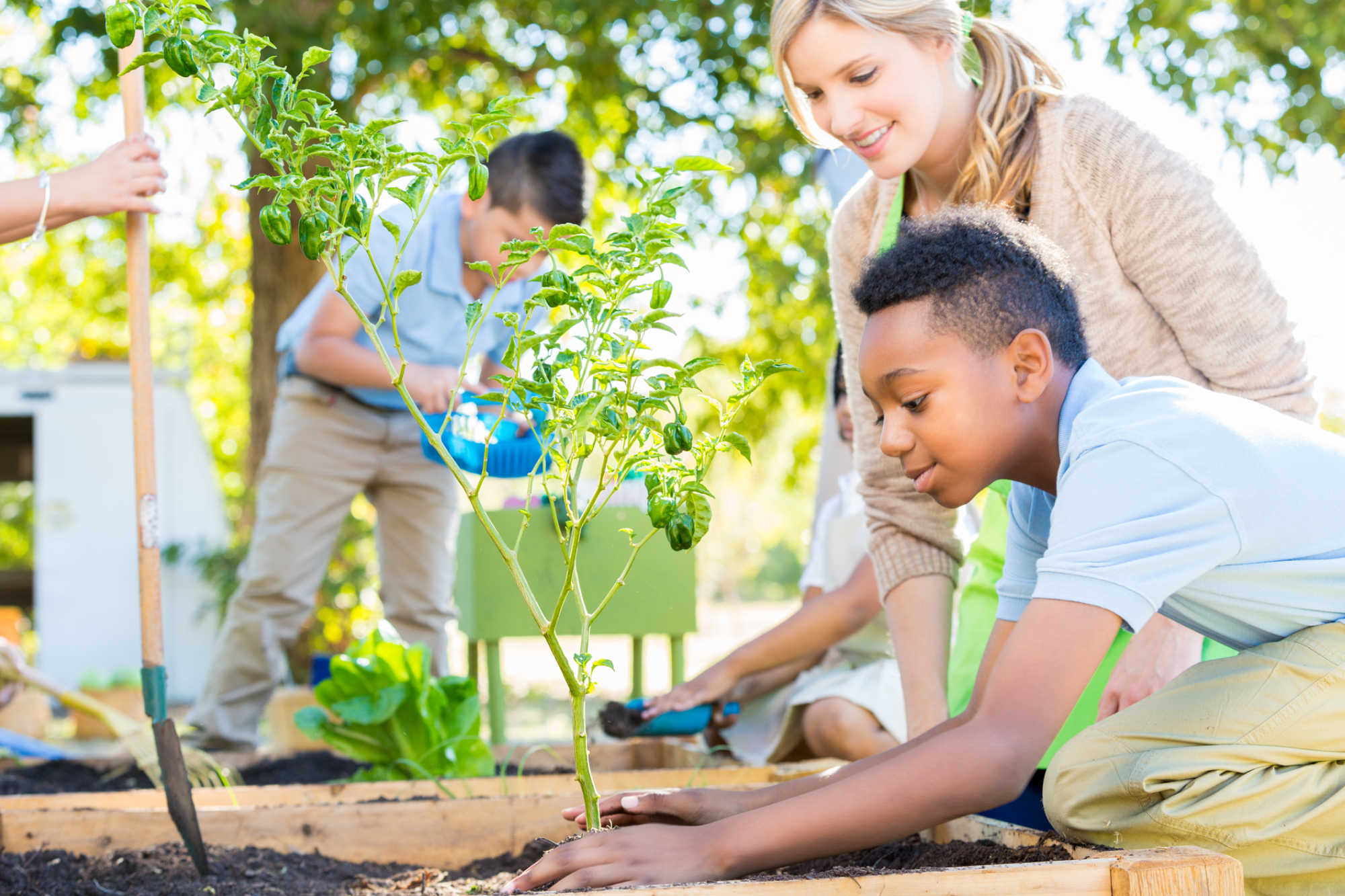 Plaskett and Molinaro Team Up to Introduce Bill Boosting Farm to School Program