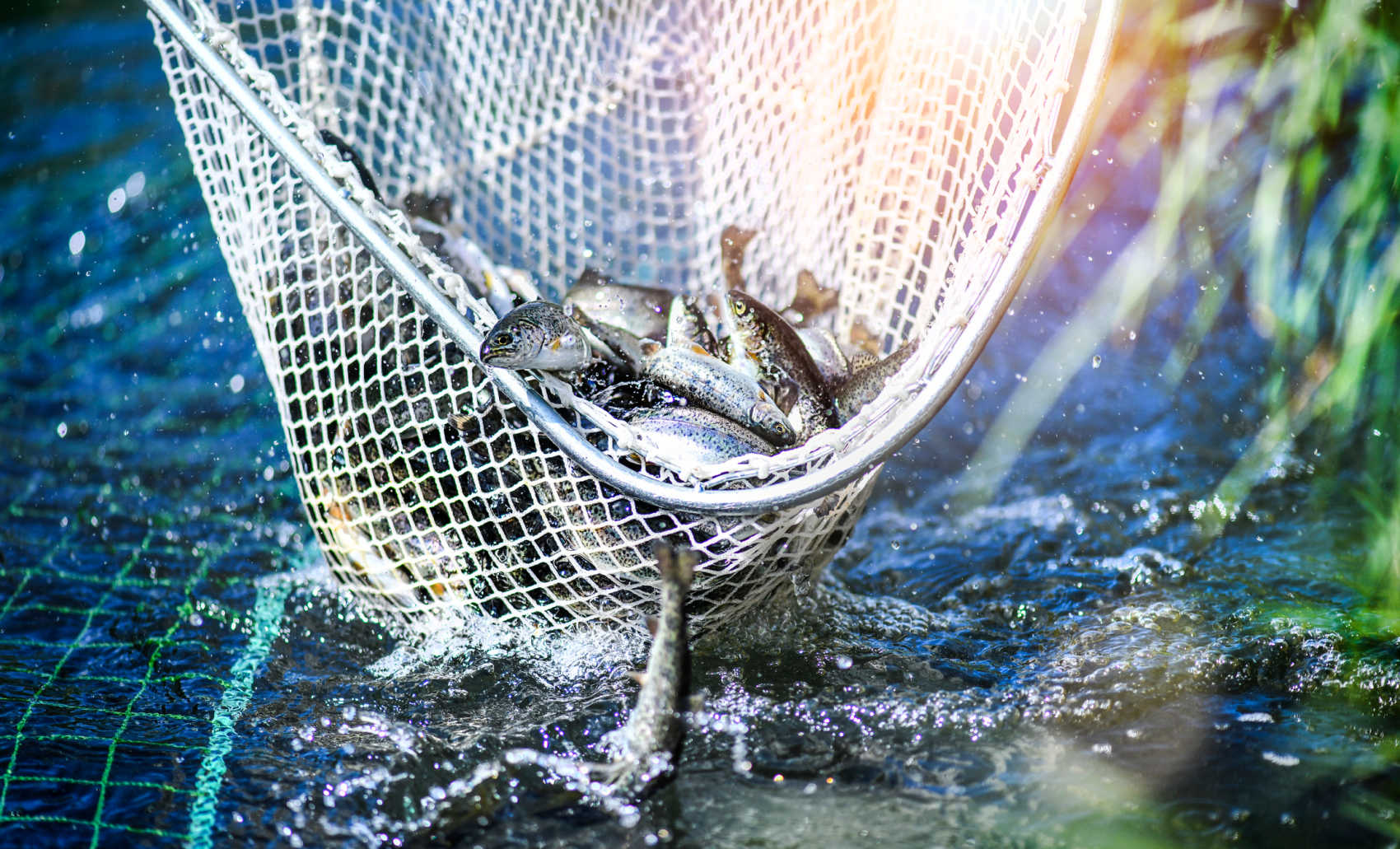 St. Croix to Host Marine Resource Education Training for Fishers in May
