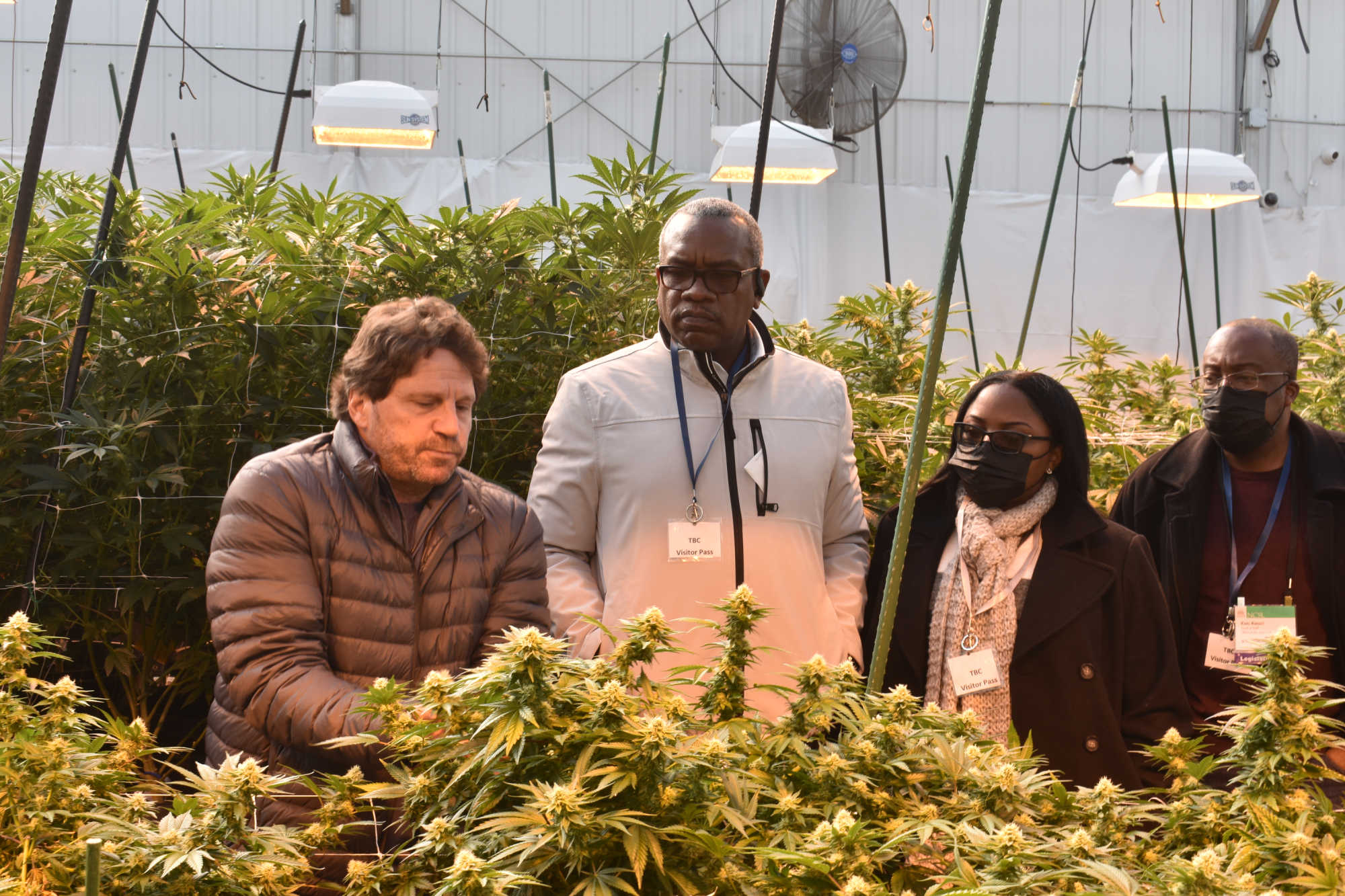 Governor Albert Bryan Jr. listens to Telluride operations head Rick Scicchitano during an October 2021 cannabis facility tour, as the territory's cannabis licensing program continues to expand.