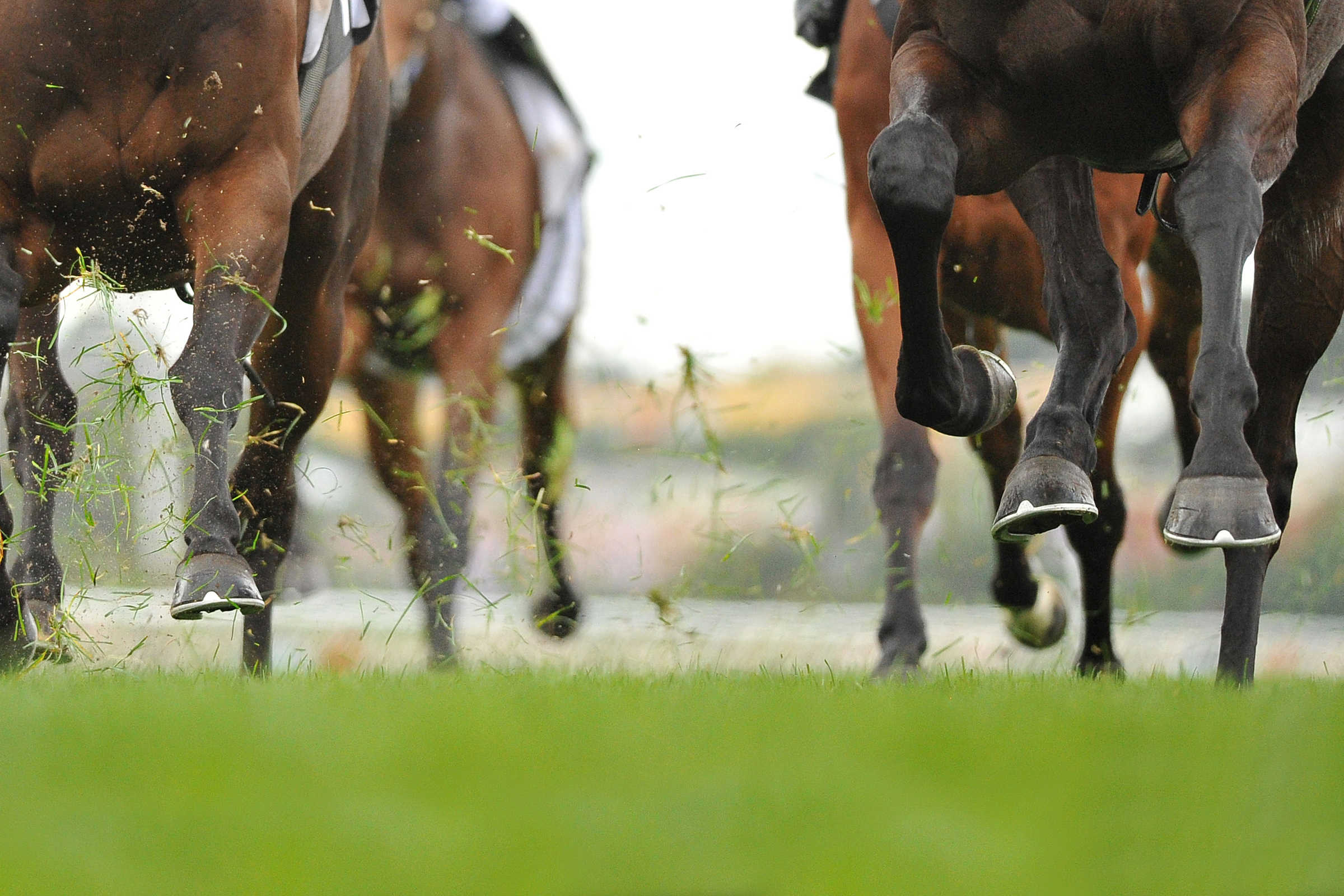 Southland Seeks “Closure” on Horse Racing Deal as Bryan Warns Senate ...
