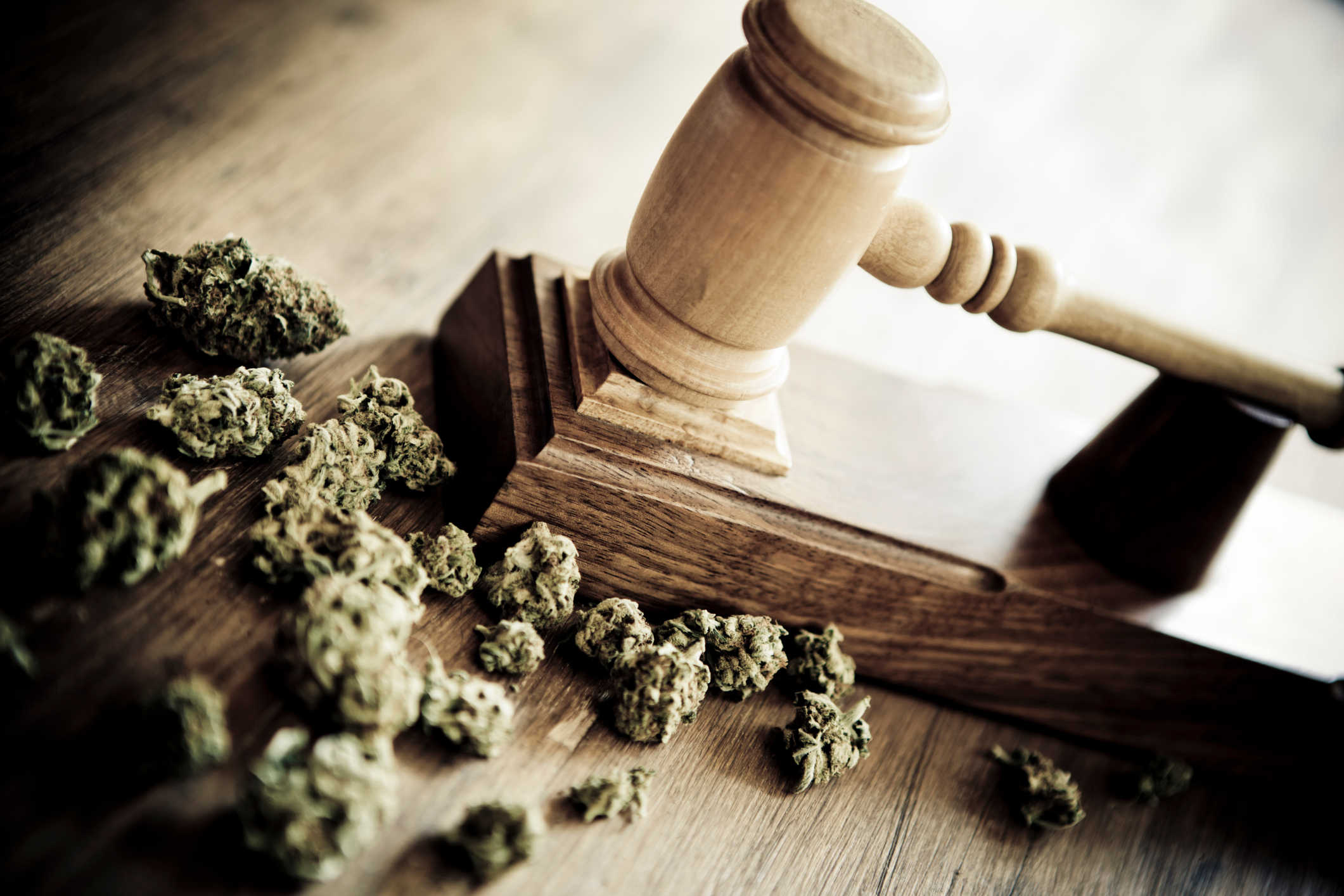 Cannabis Advisory Board Approves Rules & Regulations for Recreational Use