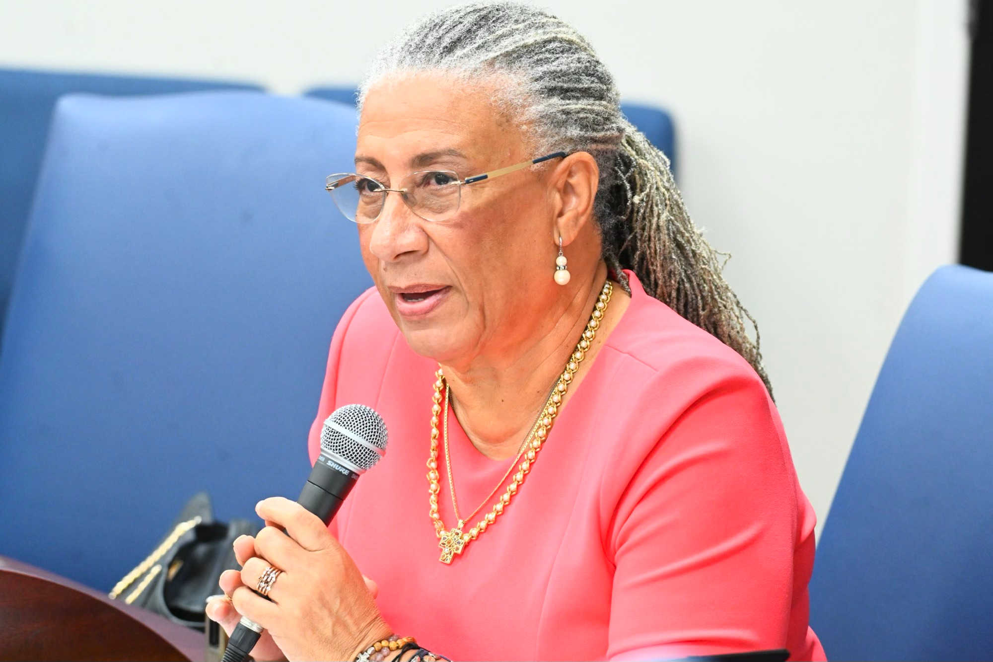 Bill Allowing Government Workers to Run for Office Without Resigning Passes Despite Three Lawmakers Abstaining