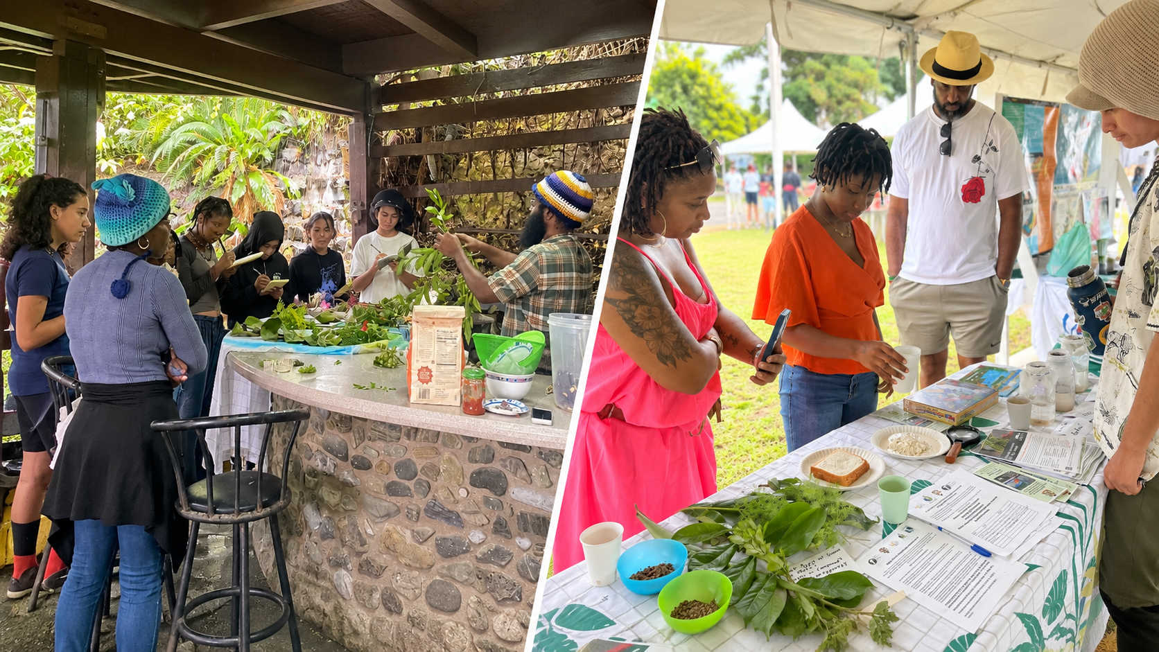 Participants take part in hands-on agriculture and food education activities as VI Women in Agriculture expands STEAM learning, specialty crop awareness and agricultural literacy across St. Croix and St. Thomas.