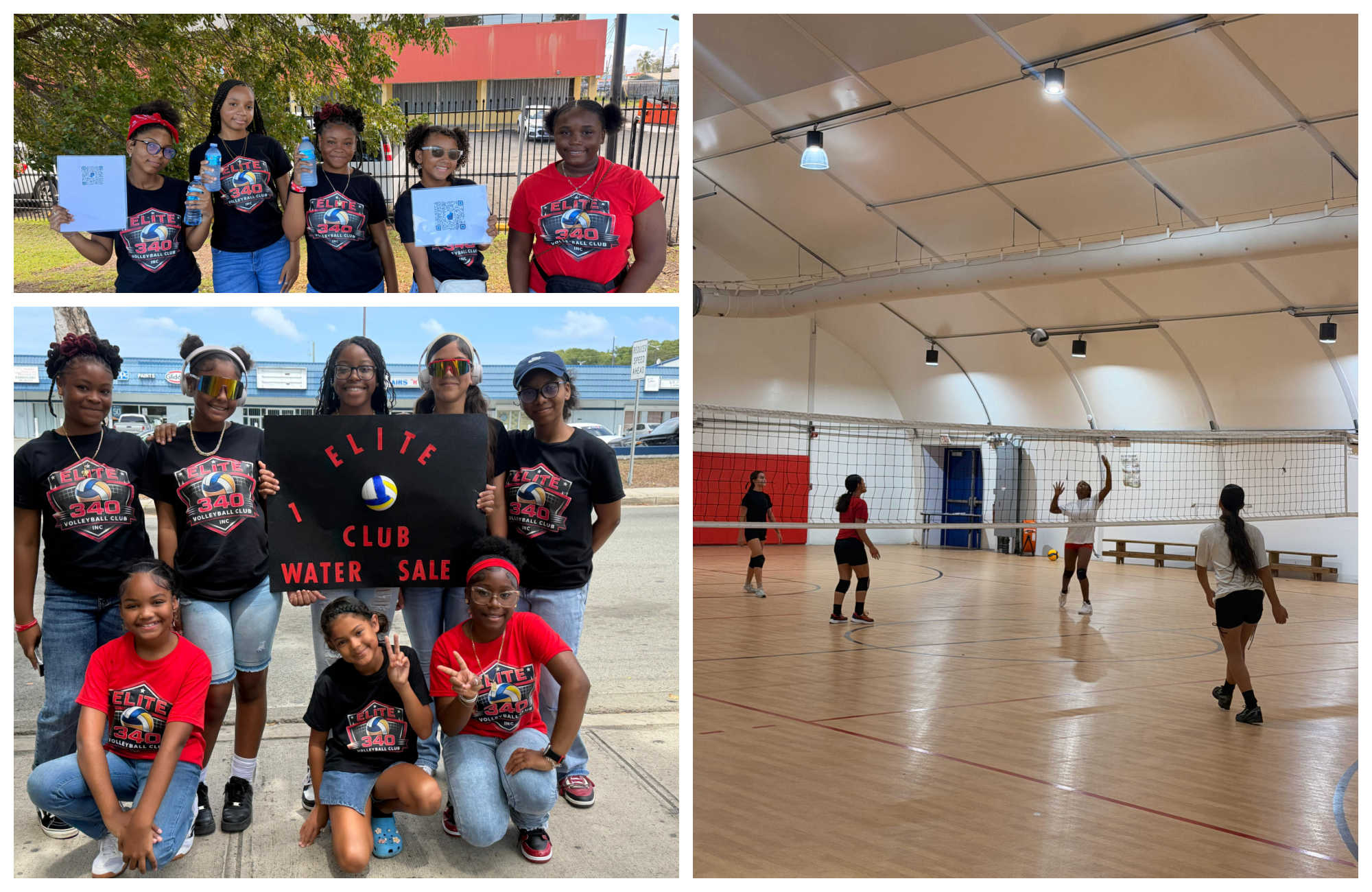 Elite 340 Easter ...