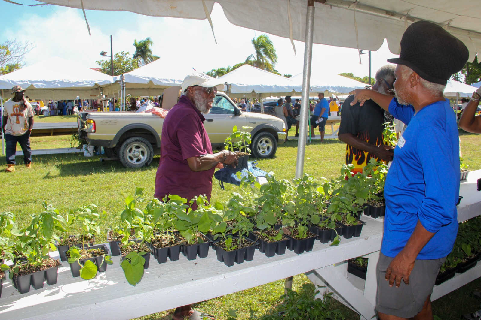 World Food Day to...